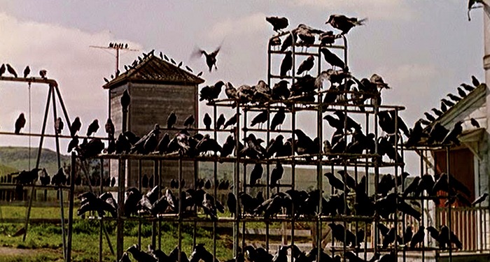Los pájaros. (Universal Pictures. 1963).