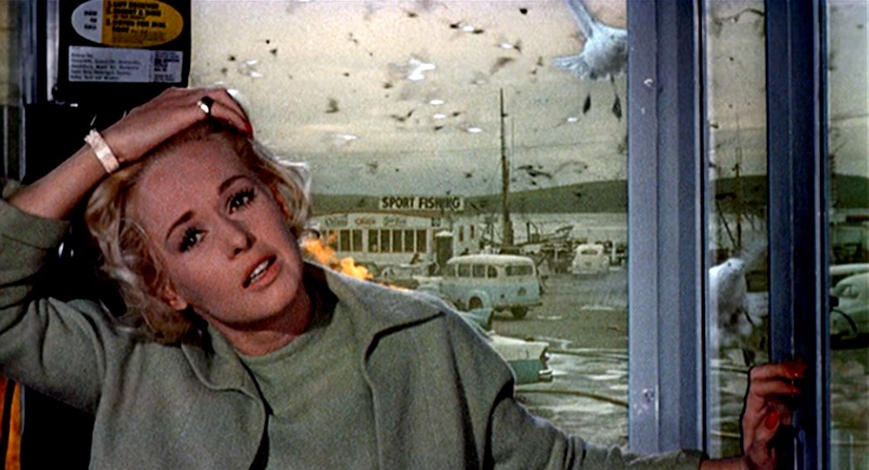 Tipi Hedren (Los pájaros. Universal Pictures. 1963.)
