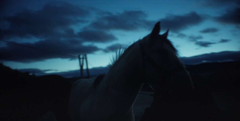 The Damned. (Okta Film, Pupa Film, Michigan Films, RAI Cinema, Ministero della Cultura. 2024).