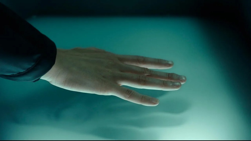 Una ballena. (Señor & Señora, La Fabrica Nocturna Cinéma, Sayaka Producciones, Orisa Produzioni. 2024).