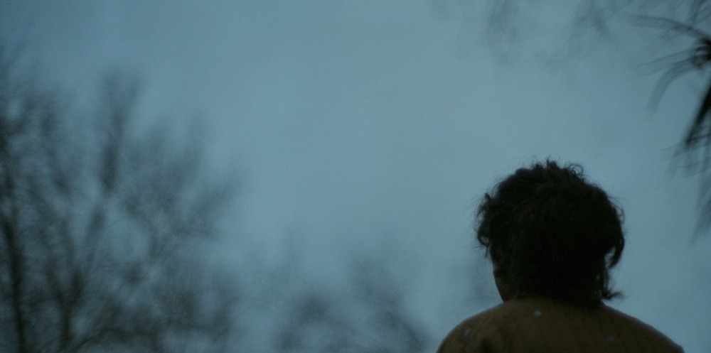 Bring Her Back.(Causeway Films, RackaRacka Studios, SAFC Studios, Salmira Productions, 2025).