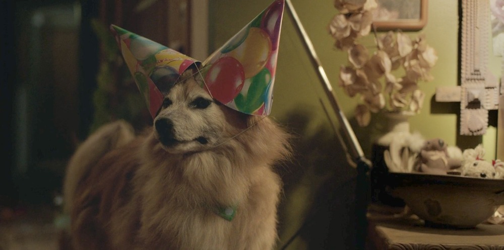 Bring Her Back.(Causeway Films, RackaRacka Studios, SAFC Studios, Salmira Productions, 2025).