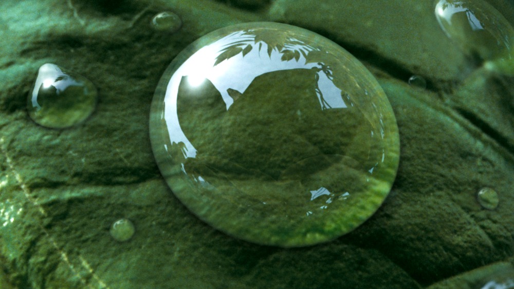 La guerra de los mundos. (DreamWorks SKG, Paramount Pictures, Amblin Entertainment, Cruise-Wagner Productions. 2005).