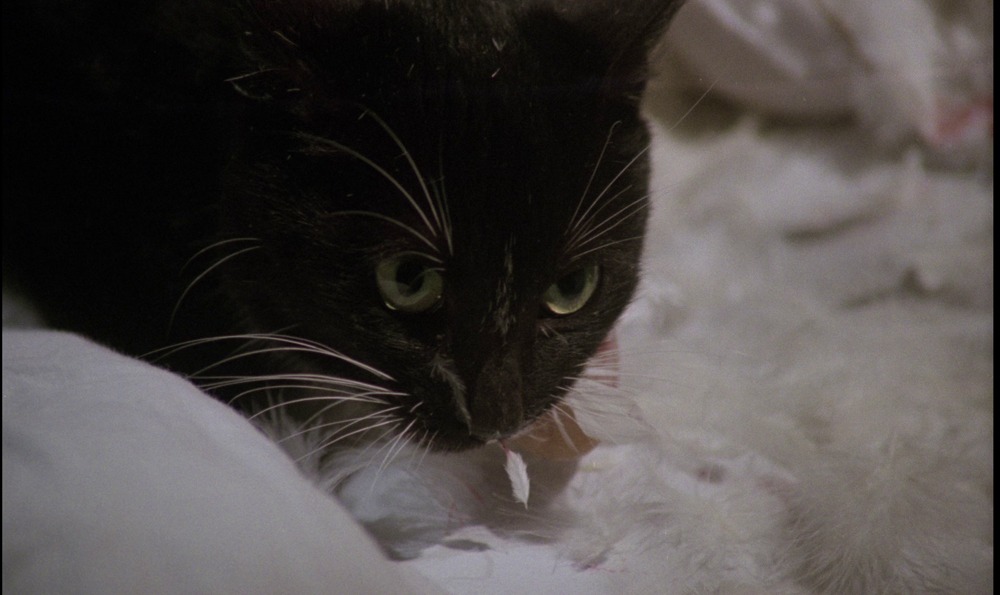 Beatriz. (Lotus Films. 1976).